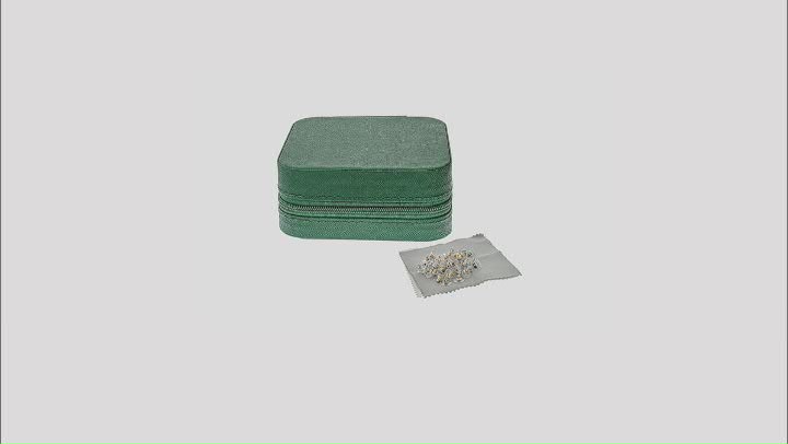 Green Travel Size Jewelry Box with Cleaning Cloths & 40 Piece Earring Backs Video Thumbnail